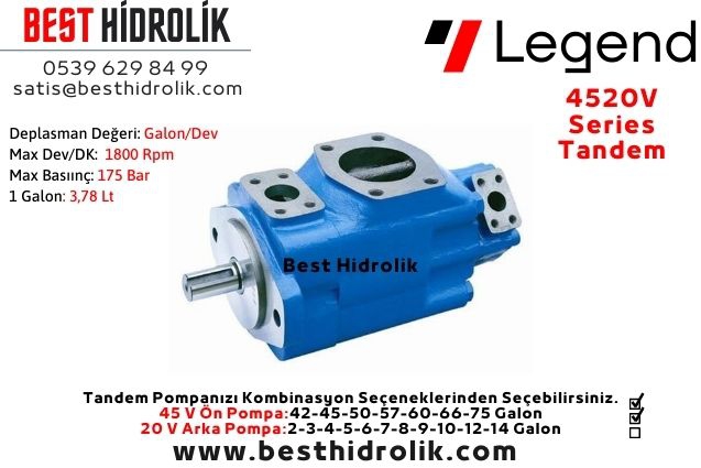 4520V SERİSİ ENDÜSTRİYEL PALETLİ TANDEM POMPA