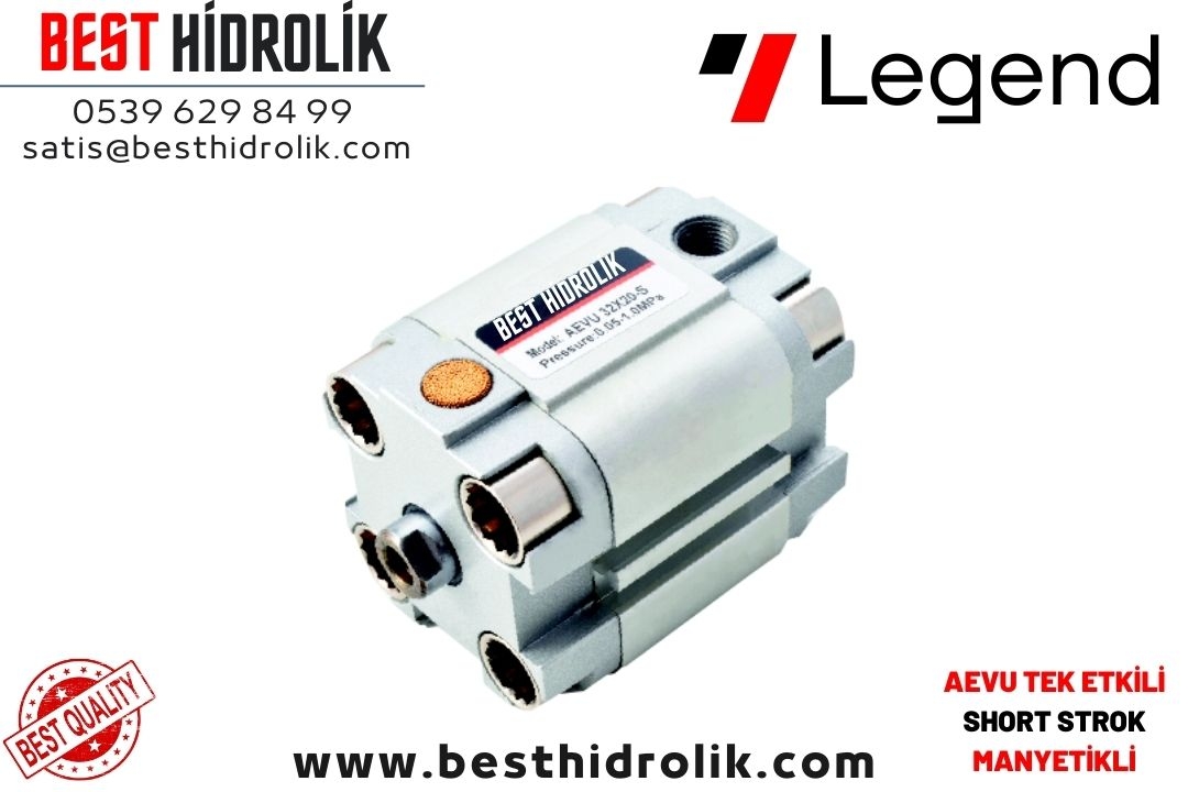 AEVU 63X100 TEK ETKİLİ MANYETİK  SHORT SİLİNDİR