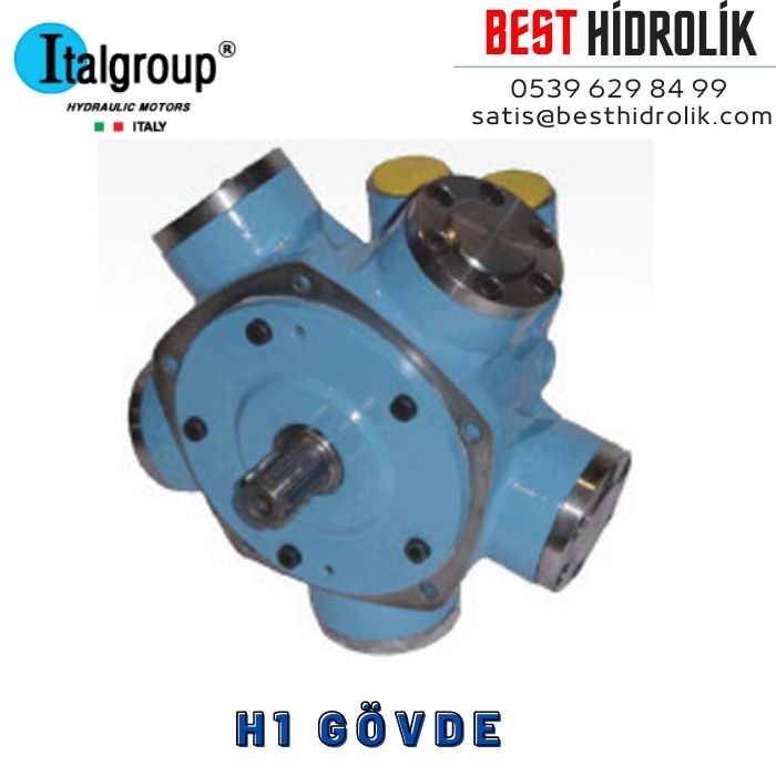 IAM 200 H1 RADYAL PİSTONLU MOTOR ( R8M 200 H1 )