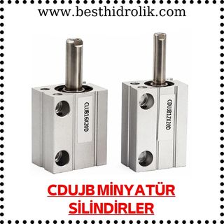  CDUJB  MİNYATÜR SİLİNDİRLER