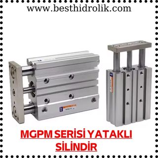 MGPM SERİSİ YATAKLI SİLİNDİR