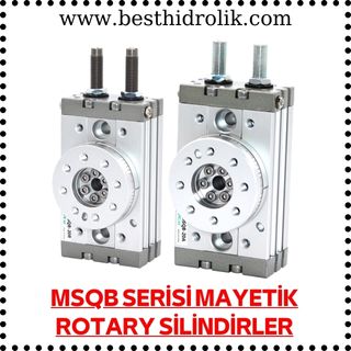 MSQB SERİSİ MAYETİK ROTARY SİLİNDİRLER